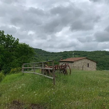On The Hill Between Gubbio And Perugia *