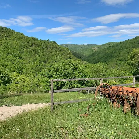 Appartamento On The Hill Between Gubbio And Perugia *
