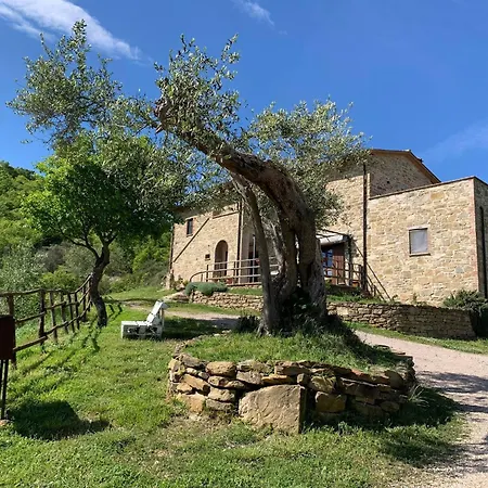 On The Hill Between Gubbio And Perugia *